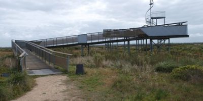 Sunday 6 July 2025 – Cheetham Observation Tower Loop